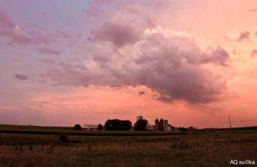Farm, Pink Sky, Blue Sky with Big Cloud